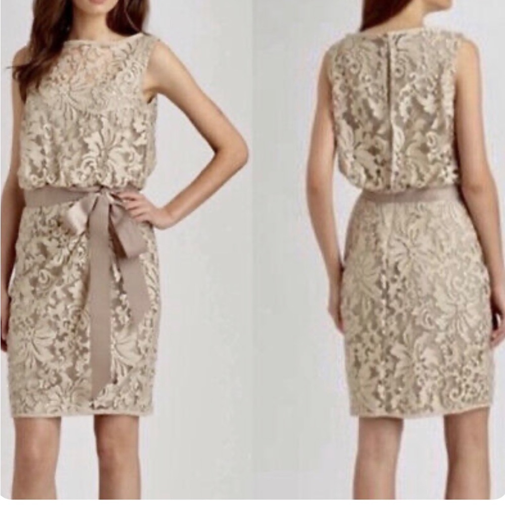 Tadashi Shoji lace dress with ribbon belt NWT